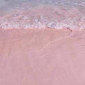 美女胸乳❌❌❌裸露软件
