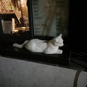 美女胸乳❌❌❌裸露软件
