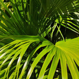 美女胸乳❌❌❌裸露软件
